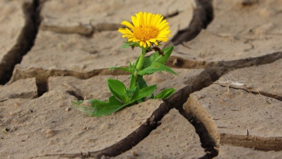 Shalat Istisqa atau Minta Hujan, Ini Panduan Lengkap dari Niat, Cara hingga Doanya