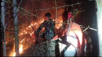 Hutan di Gunung Orak Arik Trenggalek, Terbakar