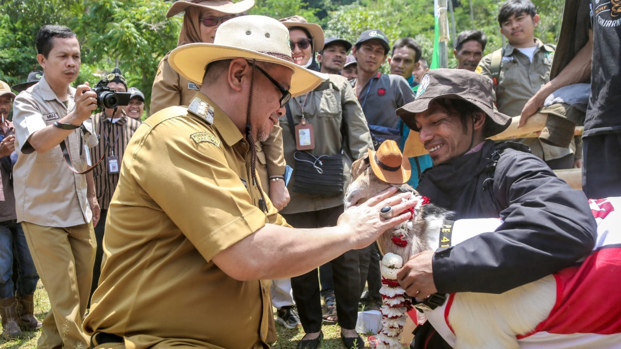 Peternak Banjarnegara Lakukan Panen Cempe Massal
            - galeri foto