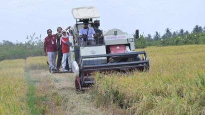 Kekeringan, Dinpertan Purbalingga Perkirakan Musim Tanam Pertama Mundur