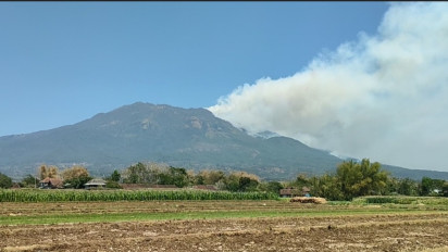 Kebakaran Hutan Gunung Lawu Makin Meluas, BPBD Magetan Kerahkan Relawan Buat Ilaran di Wilayah Perbatasan