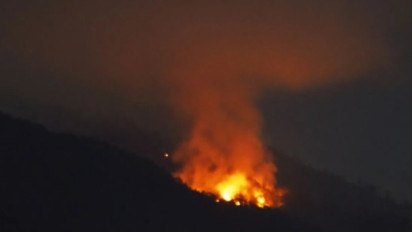 Kebakaran di Gunung Lawu, Lebih dari 30 Hektar Lahan Hangus Terbakar