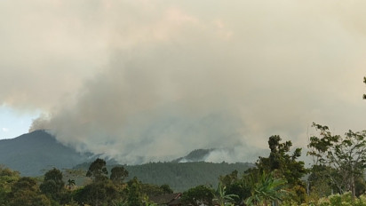 Kebakaran Meluas, 3 Petak Lahan Pinus di Hutan Gunung Lawu Hangus Terbakar