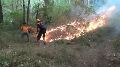 Total 150 Hektar Hutan Gunung Lawu Terbakar, Perhutani : Kami Menduga Pemadaman Hutan Sebelumnya Belum Tuntas