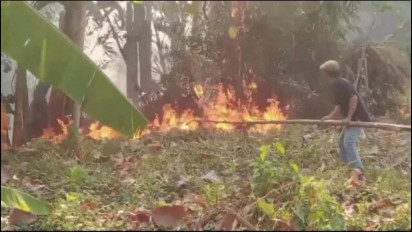 BMKG Deteksi 72 Titik Panas di Lampung, Terbanyak di Kabupaten Mesuji