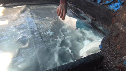 Harga Beras Melambung Tinggi, Warga Aceh Singkil Terpaksa Olah Pohon Sagu Pengganti Nasi