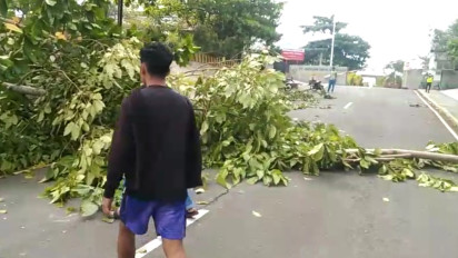 Tuding Sebabkan Gatal-Gatal dan Rusak Atap Rumah, Puluhan Warga Blokir Jalan Masuk PLTU Mamuju