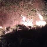 Sebanyak 46 Titik Karhutla Terdeteksi di Bungo, Mayoritas Penyebabnya Kelalaian Manusia