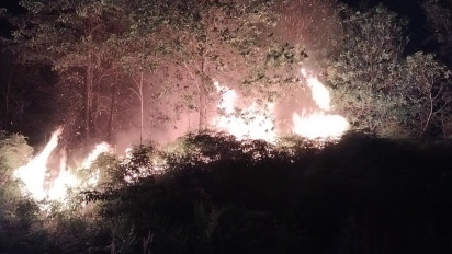 Sebanyak 46 Titik Karhutla Terdeteksi di Bungo, Mayoritas Penyebabnya Kelalaian Manusia