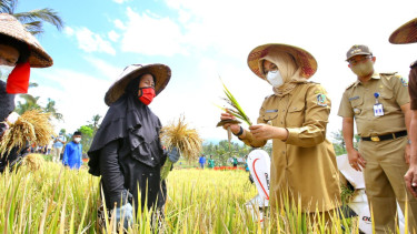 Antisipasi Kemarau Panjang, Pemkab Banyuwangi Pastikan Stok Pangan Beras Aman
