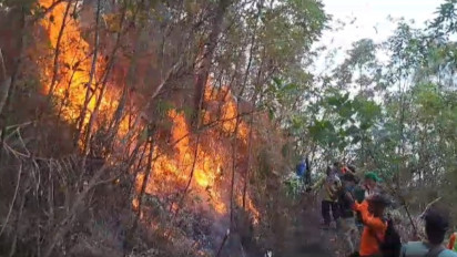Kerahkan 750 Personil Gabungan, Pemadaman Hutan Lindung Gunung Lawu Dilakukan dari Darat dan Udara