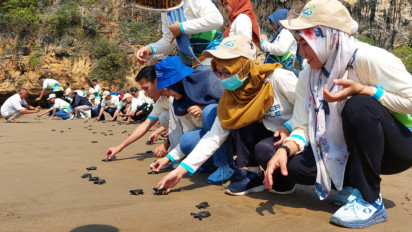 Jaga Kelestarian Alam, PLN Nusantara Power dan Masyarakat Pacitan Bersih Pantai hingga Lepaskan Ratusan Tukik