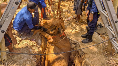 Dramatis, Proses Evakuasi Sapi Terjatuh ke Sumur Sedalam 9 Meter di Maros