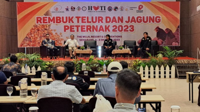 Pinsar Petelur Nasional Keluhkan Harga Jagung yang Melambung Tinggi
