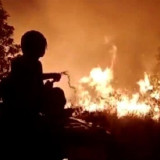 Kebakaran Lahan Taman Nasional Way Kambas Lampung Diduga Akibat Ulah Pemburu Liar