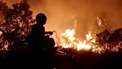 Kebakaran Lahan Taman Nasional Way Kambas Lampung Diduga Akibat Ulah Pemburu Liar