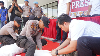 Polda Riau Tangkap Pria Bawa 41 Kilogram Sisik Tenggiling Tujuan Malaysia