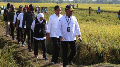 Isu Bermuatan Politik Terpatahkan, Presiden Jokowi Segera Angkat Mentan Definitif