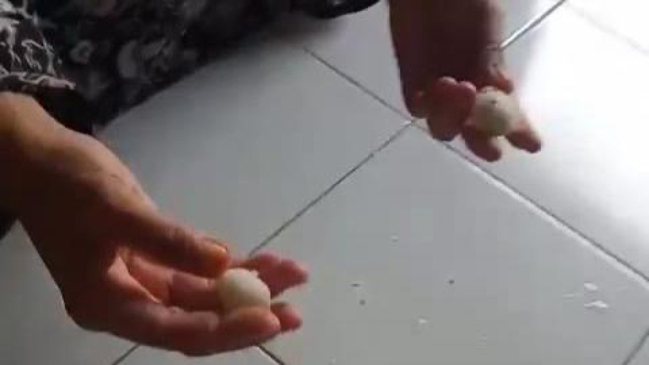 Viral! Beras Gerakan Pangan Murah di Binjai Diduga Berbahan Plastik
            - galeri foto