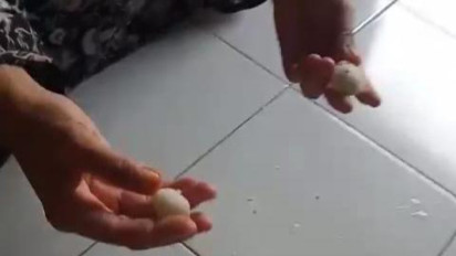 Viral! Beras Gerakan Pangan Murah di Binjai Diduga Berbahan Plastik