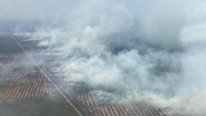 Waduh! Januari Hingga September Ada 32.496 Hektare Lahan di Sumsel Terbakar