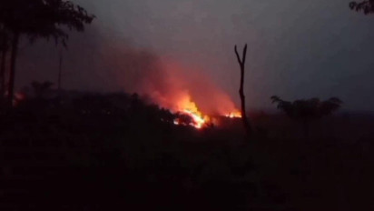 Tim Satgas Karhutla Kabupatan Batanghari Mencatat 452 Hektare Lahan Terbakar Selama Musim Kemarau