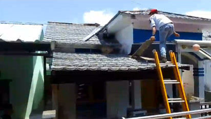 Berlangsung Dramatis, Petugas Damkar Tersengat Saat Hendak Mengevakuasi Sarang Tawon