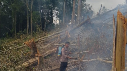 Kawasan Hutan Lindung TNBBS Register 43B Lampung Terbakar