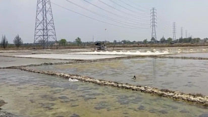 Ratapan Petani Garam di Rembang, Sebut Puluhan Hektare Tambak Garam Tercemar Limbah Industri