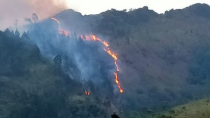 Lereng Gunung Ungaran Kabupaten Semarang Terbakar, Titik Api Terlihat Terang
