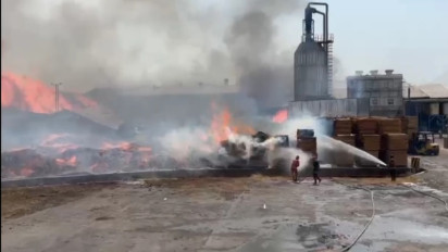 Akibat Kebakaran Hebat PT Nankai Indonesia di Gresik, Dua Pekerja Operator Boiler Alami Luka Bakar