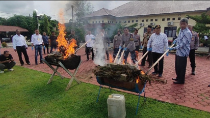 Polres Aceh Utara Gagalnya Penyelundupan 56 Bal Ganja yang Akan Dikirim ke Bali