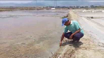 Dinas Lingungan Hidup Rembang akan Uji Sampel Air Tambak yang Diduga Tercemar Limbah Industri
