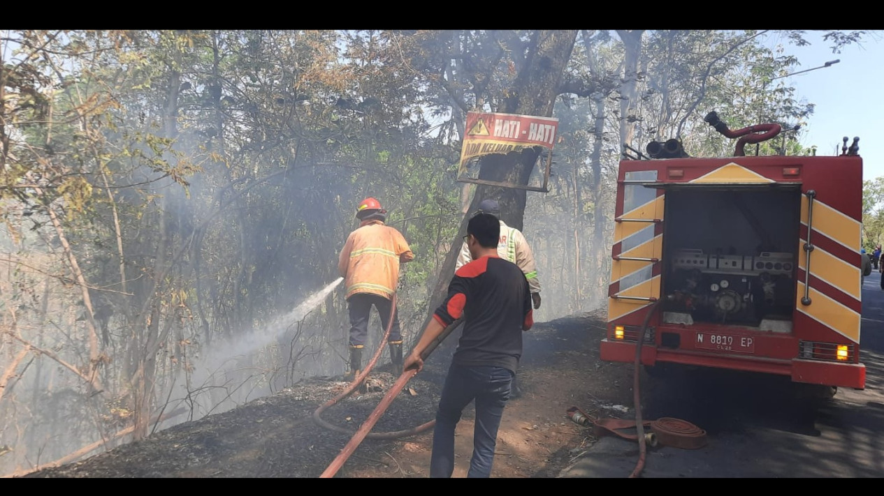 Hutan di Gunung Geger Pagak Malang, Diduga AKibat Cuaca Panas yang Timbulkan Percikan Api
            - galeri foto
