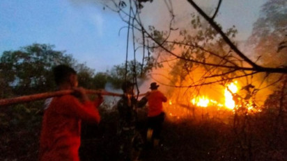 307 Titik Panas Terdeteksi di Kaltim, BMKG Ungkapkan Ini