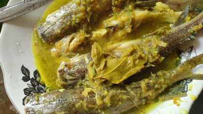 Kelezatan Gulai Santan Ikan Baung Khas Musi Banyuasin