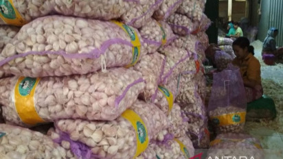 Kementan Terbitkan Rekomendasi Impor Bawang Putih Sebanyak 1,1 Juta Ton