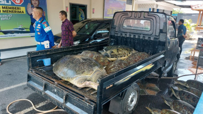 Hendak Dijual, Dit Polairud Polda Bali Gagalkan Penyelundupan 11 Ekor Penyu Hijau