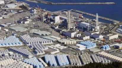 DPR Desak Pemerintah Kurangi Impor Seafood Jepang: Selamatkan Rakyat dari Limbah Radioaktif