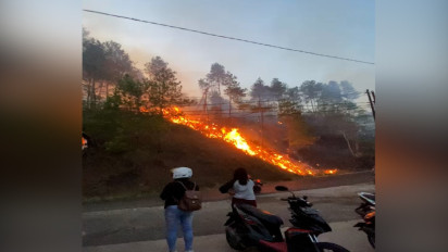Terbakar Selama Dua Hari, 30 Hektar Hutan Pinus di Tana Toraja Hangus