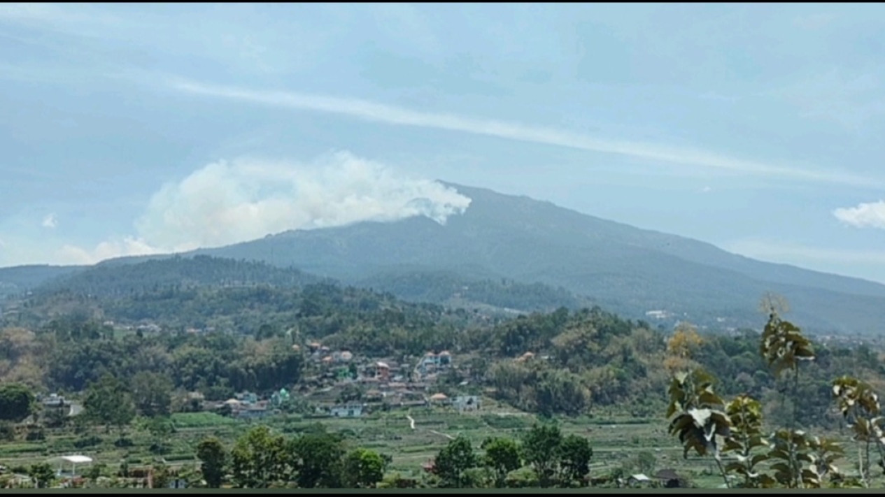 BPBD Magetan Berencana Datangkan Kembali Water Bombing, Padamkan Kebakaran Hutan Gunung Lawu
            - galeri foto
