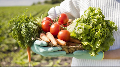 Sediakan Pangan Sehat, Sleman Buka Peluang Usaha Tani Organik Berbasis Kawasan