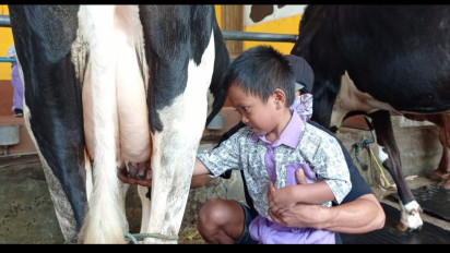 Seru! Puluhan Siswa Paud di Jombang Ikuti Edukasi Olahan Susu Sapi, Ini Kegiatannya