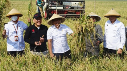 Plt Mentan Dorong Pembangunan Ekosistem Pangan Nasional