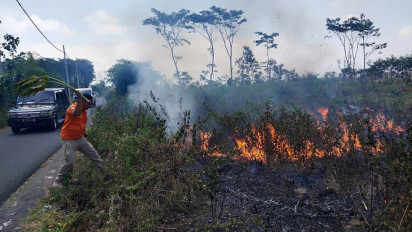 Dampak Cuaca Ekstrim, Dua Petak Lahan Tebu Terbakar di Lumajang