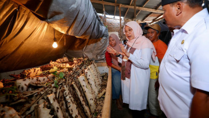 Hasil Menjanjikan, Ternak Jangkrik Diminati Ibu Rumah Tangga di Banyuwangi