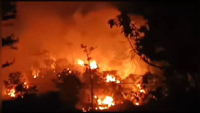 Lahan Perkebunan PTPN IX di Pati Terbakar, 5 Hektare Tanaman Serai dan Jeruk Ludes Terbakar