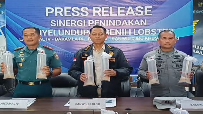 Benih Lobster Selundupan Senilai Rp 19 Miliar Digagalkan Aparat Gabungan di Karimun Kepri