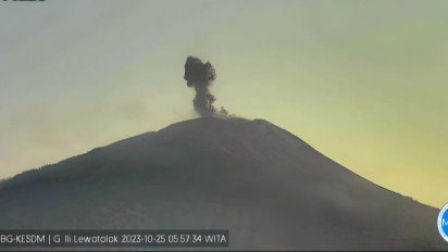 Gunung Ili Lewotolok Muntahkan Abu Setinggi 500 Meter