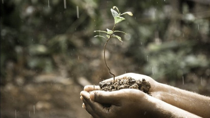 Tafsir Surah An Nur Ayat 43: Tentang Hujan